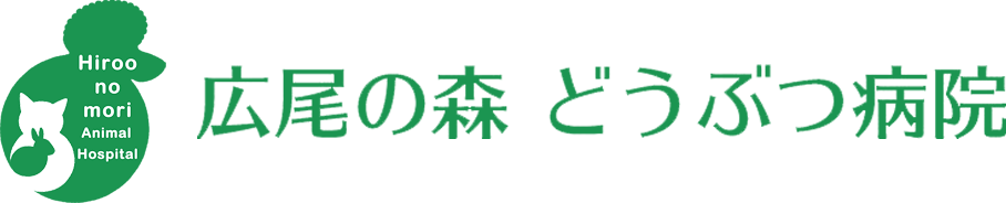 広尾の森どうぶつ病院　ホームへ